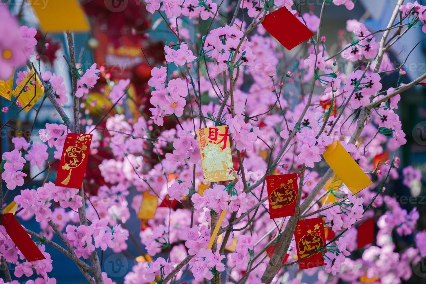 Colorful blossoms bloom in small village before Tet Festival, Vietnam Lunar Year. Peach flower, the symbol of Vietnamese lunar new year photo