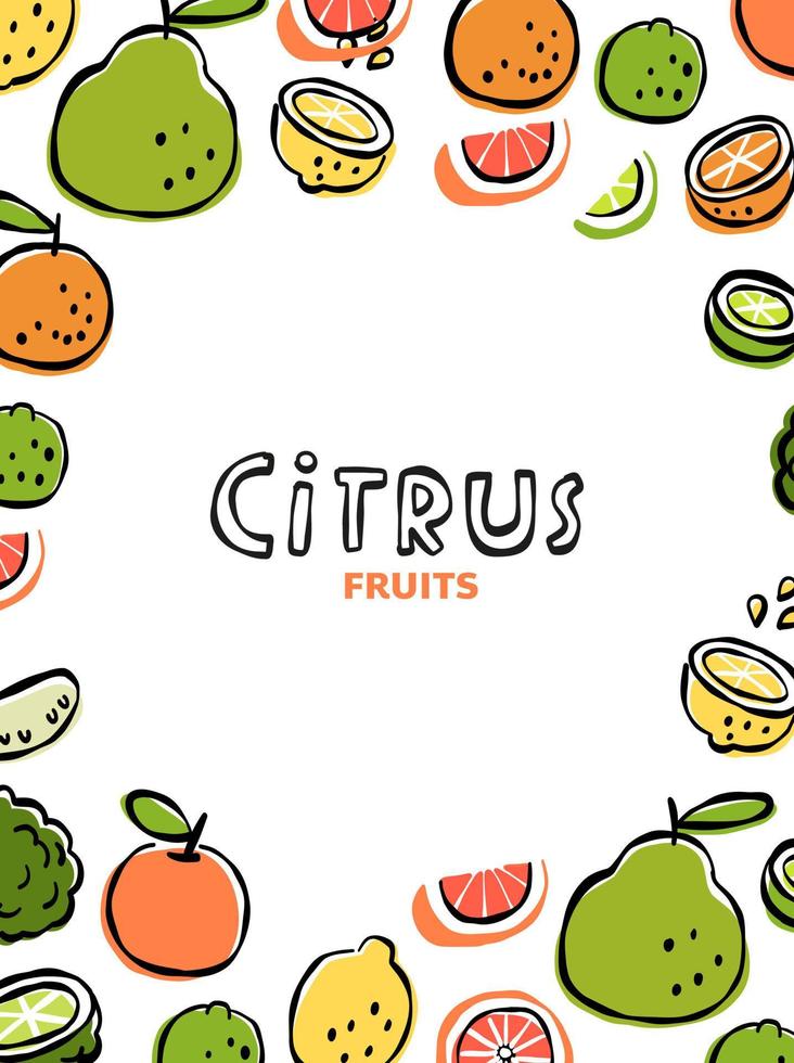 template citrus fruit background line art hand draw vector