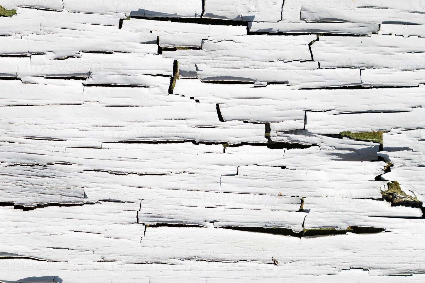 Wood abstract texture. Surface grunge backdrop. Dirty wooden effect pattern. Material background. photo