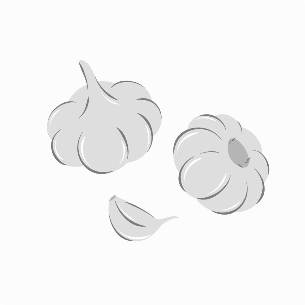 Garlic set isolated on white background. Whole bulb and clove garlic. Vector illustration