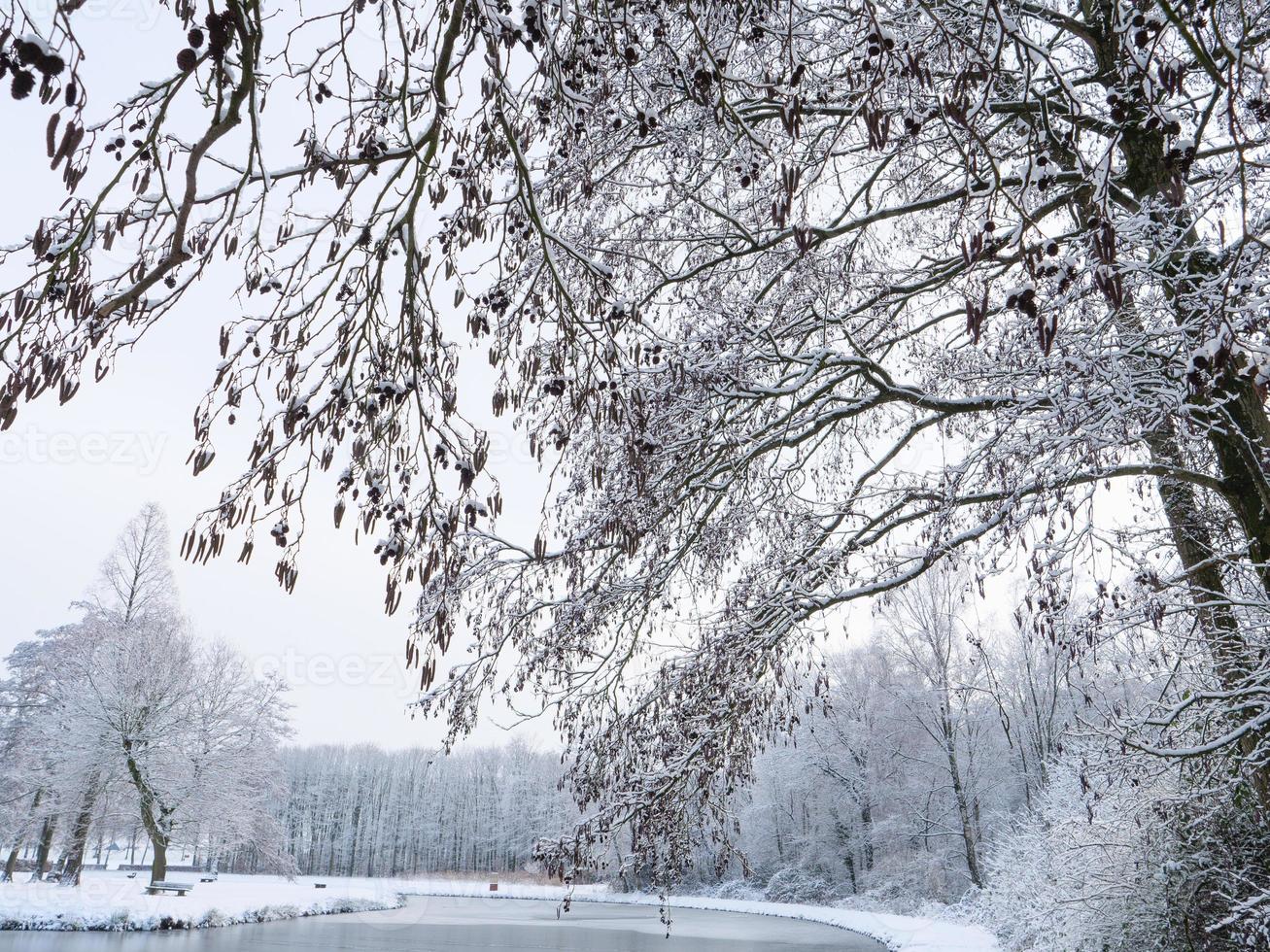 winter time at a castle in germany photo