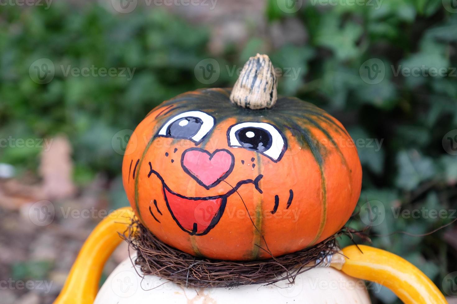 Pumpkins in the german muensterland photo