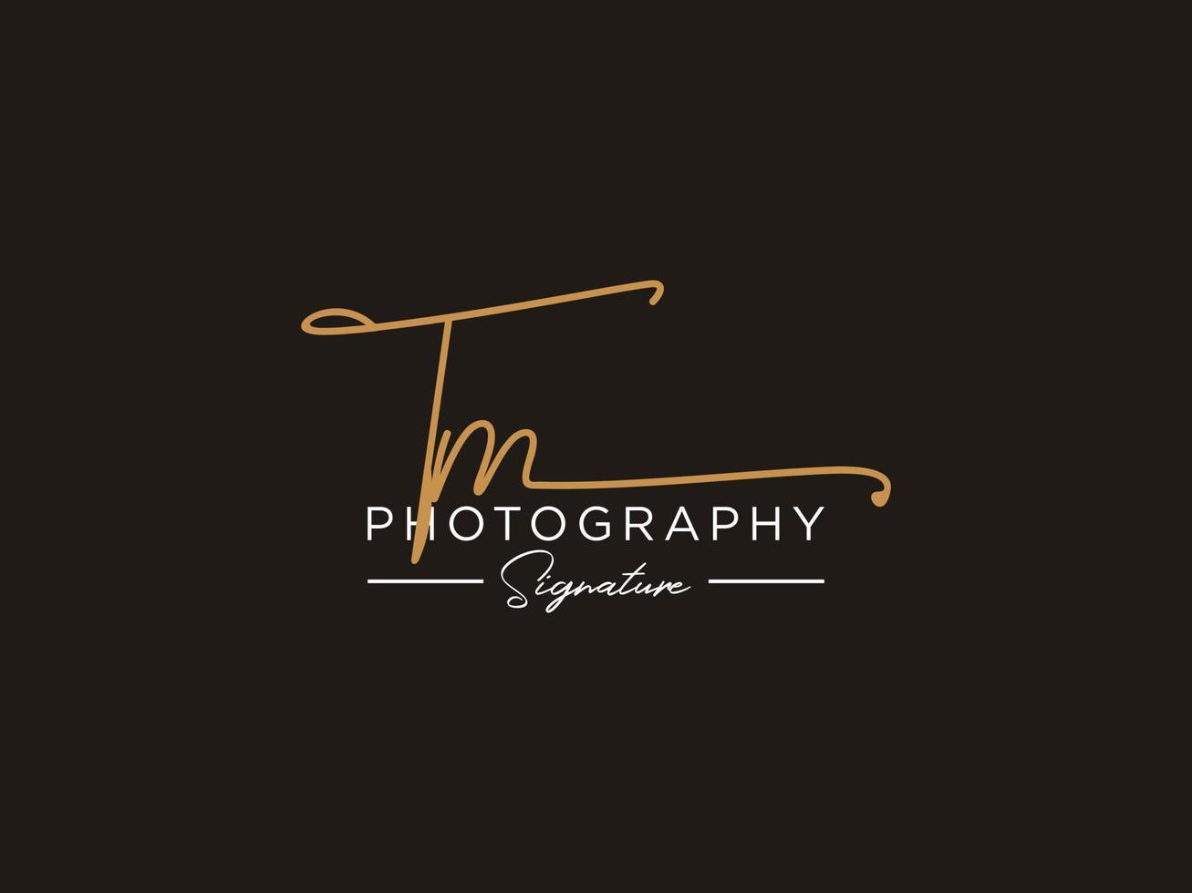 Letter TM Signature Logo Template Vector
