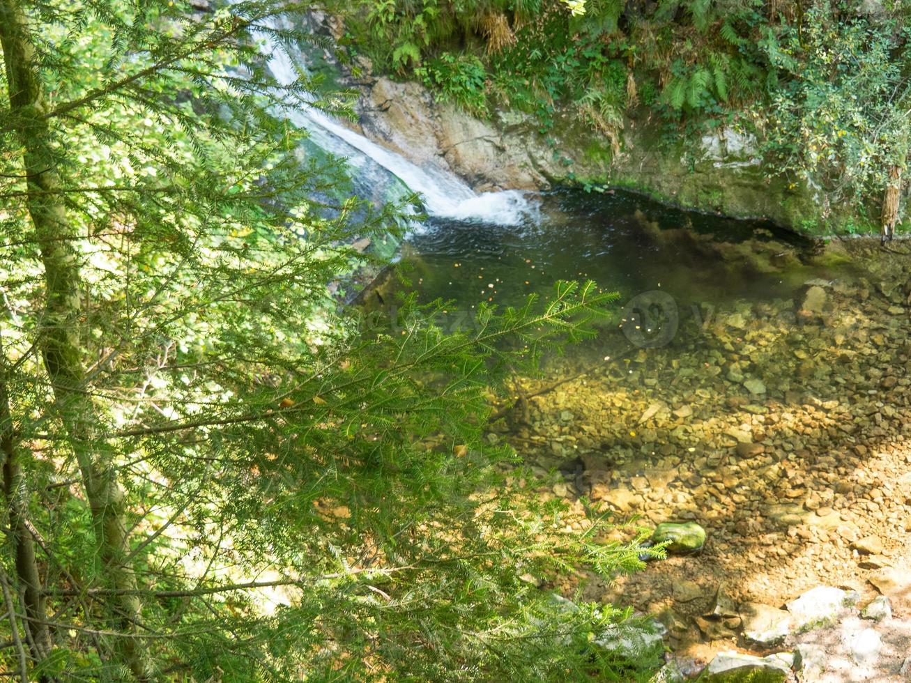 la selva negra en alemania foto