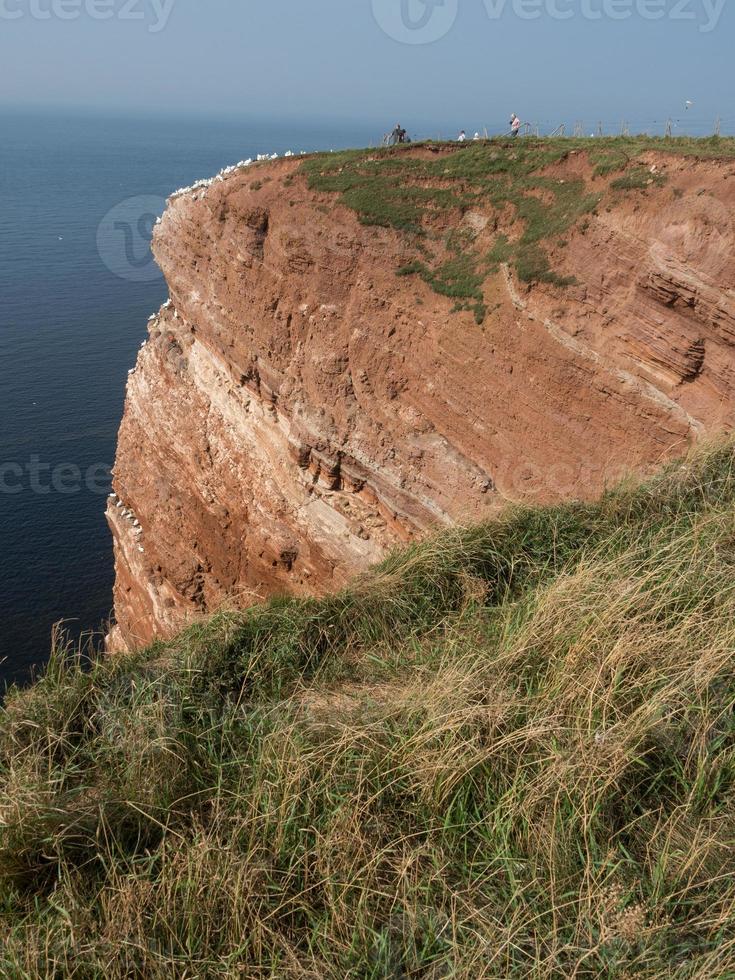 isla de helgoland en el mar del norte foto