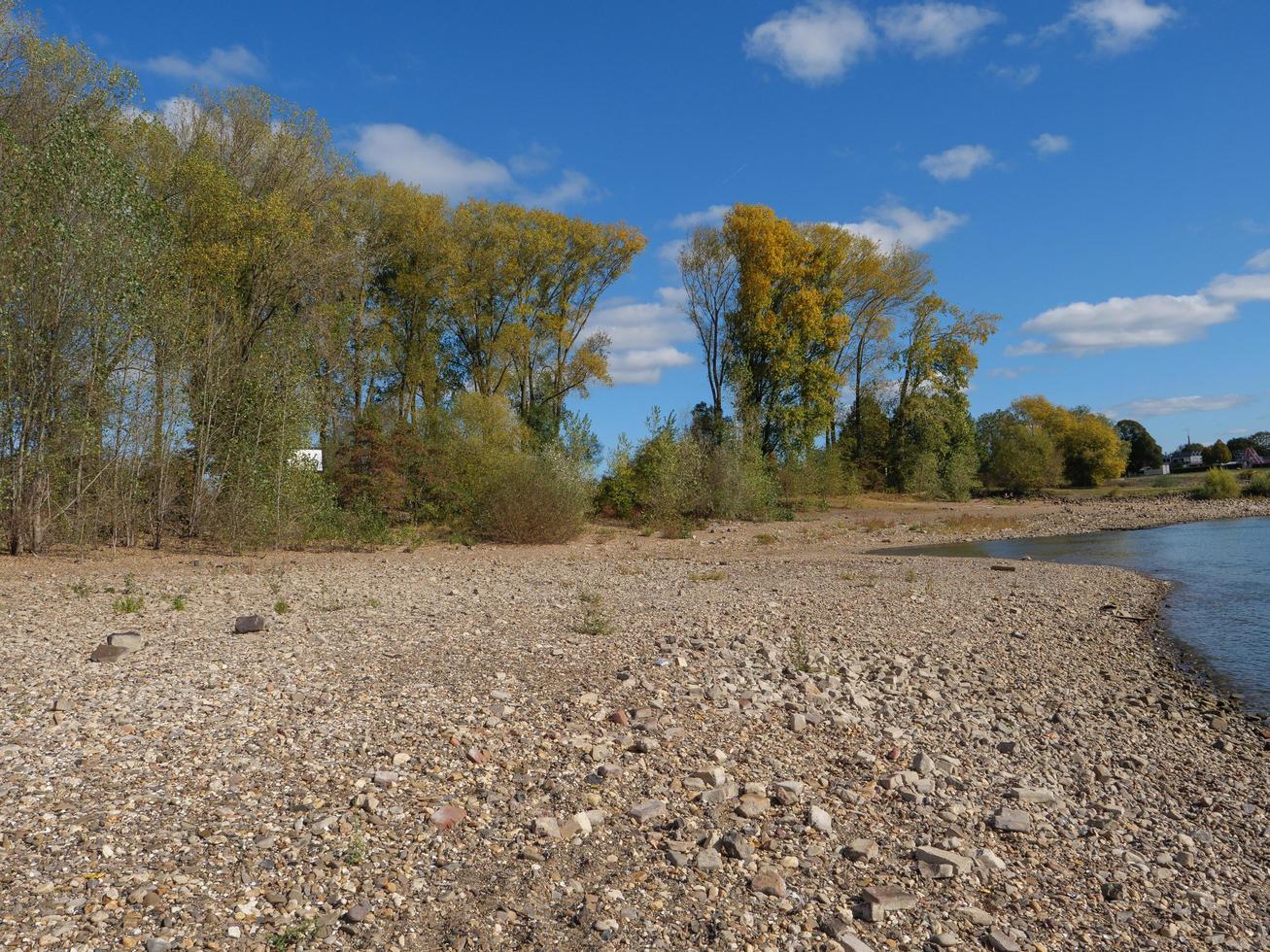 the river rhine near wesel photo