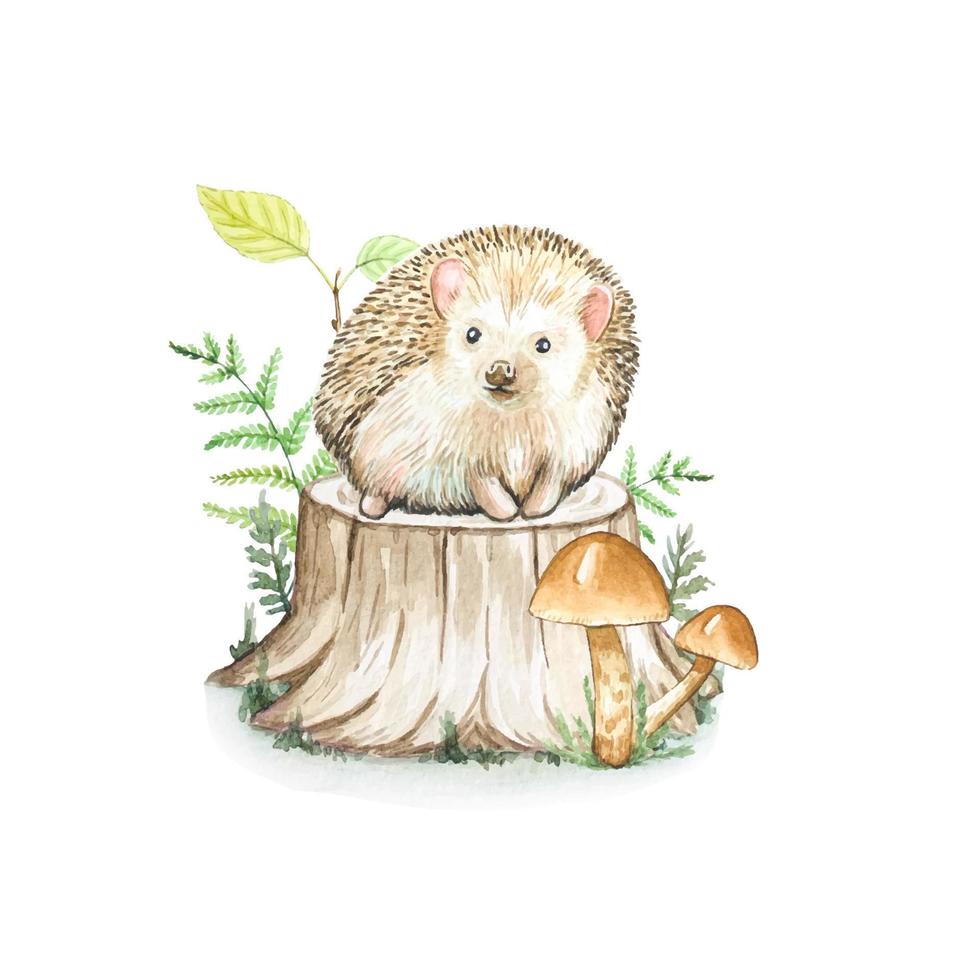 Cute hedgehog on a stump, watercolor illustration vector