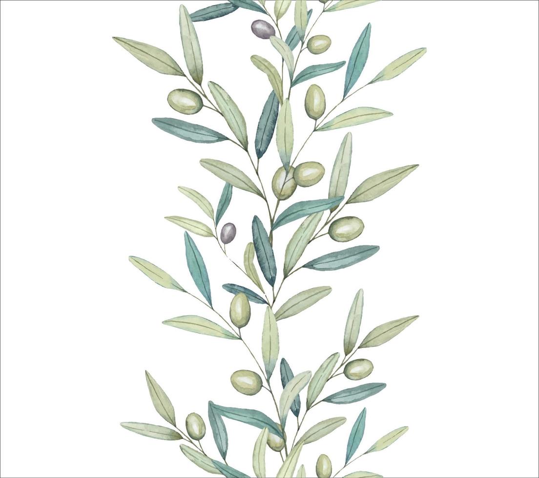 guirnalda sin costuras de ramas de olivo, borde con ramas de olivo. ilustración de sorteo de mano de acuarela. vector