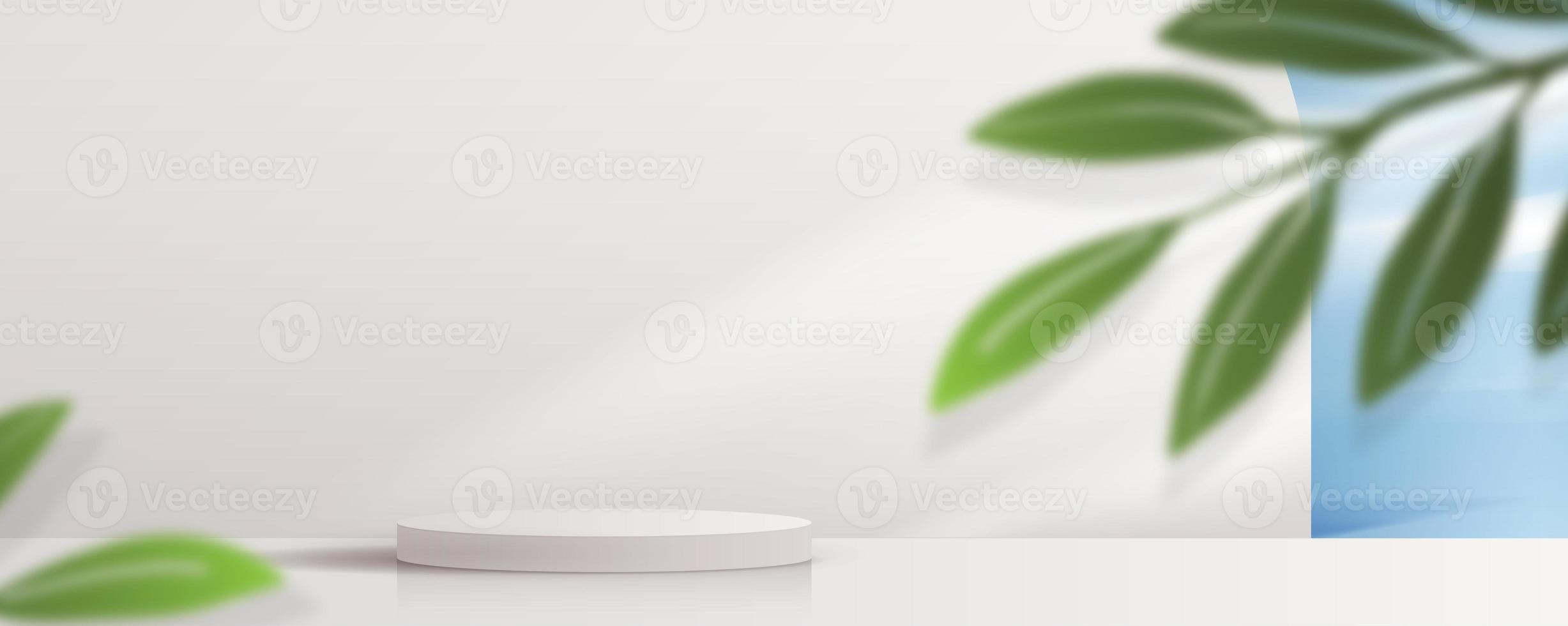 Cosmetic light gray background minimal and premium podium display for product presentation branding and packaging presentation. studio stage with shadow of leaf background. 3D illustration design photo