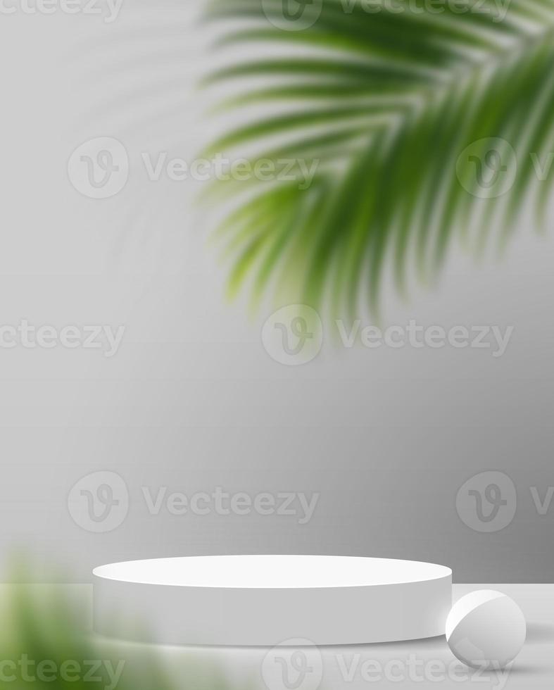 Cosmetic light gray background minimal and premium podium display for product presentation branding and packaging presentation. studio stage with shadow of leaf background. 3D illustration design photo