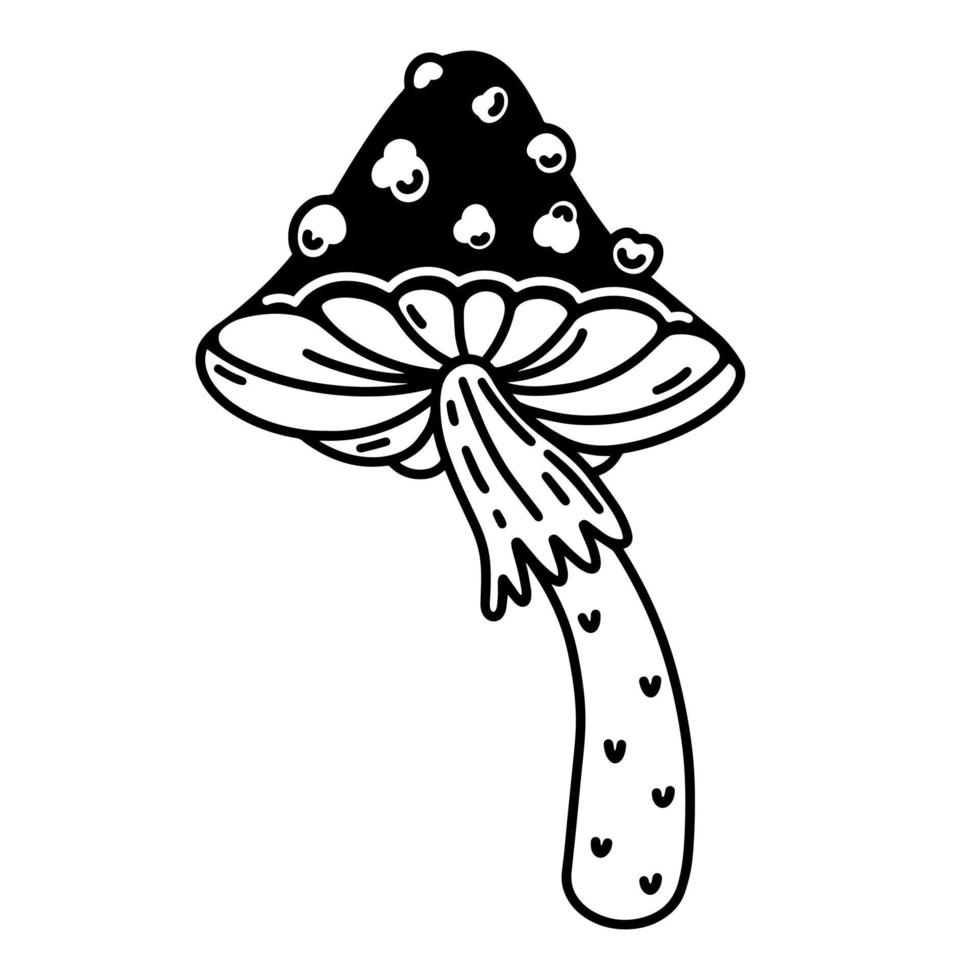 Fly agaric vector icon. Poisonous forest mushroom, toxic toadstool. Black outline, hand drawn sketch isolated on white. Witch magical plant. Clipart for logo, web, apps, posters, print