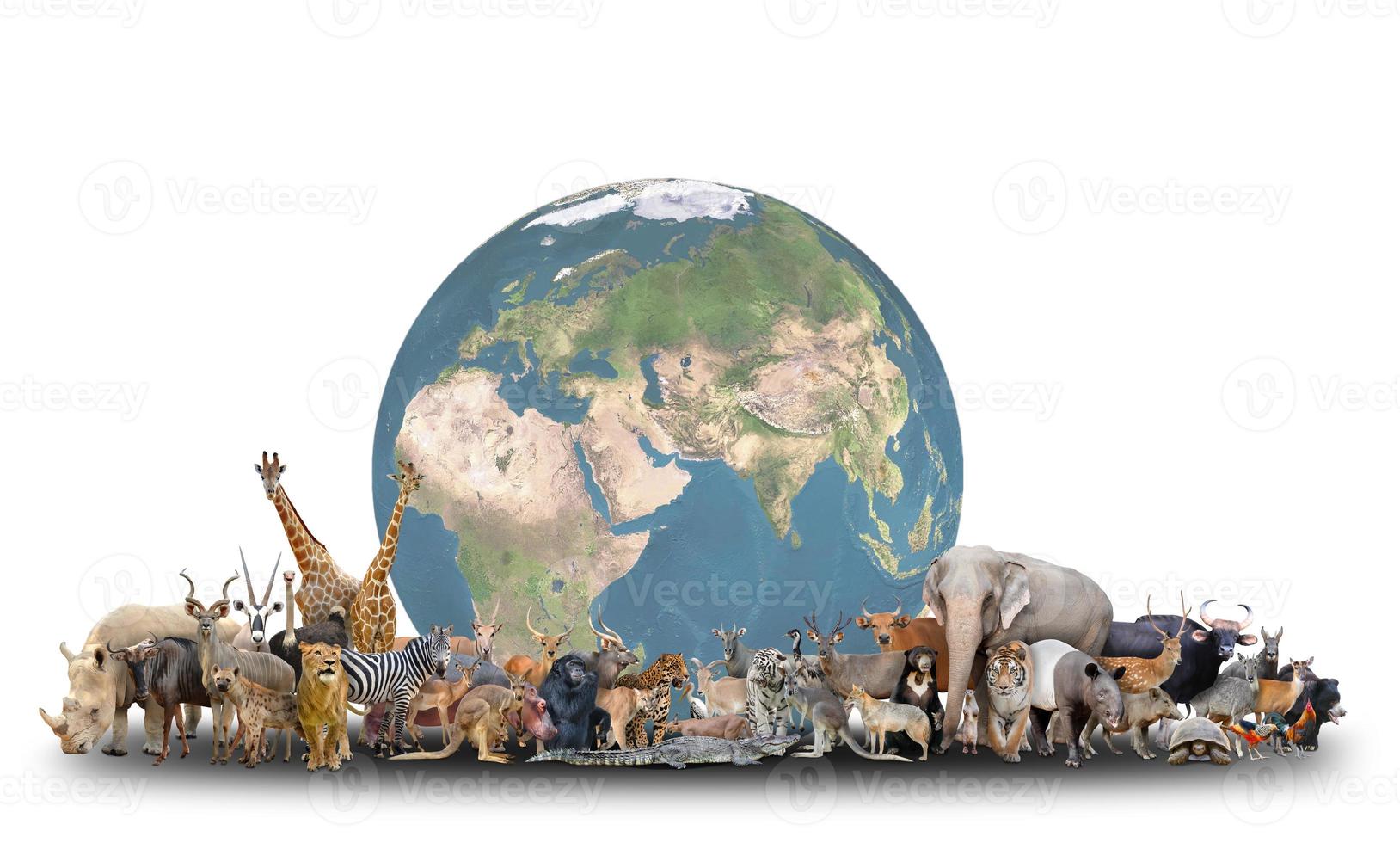 animal of the world with planet earth photo