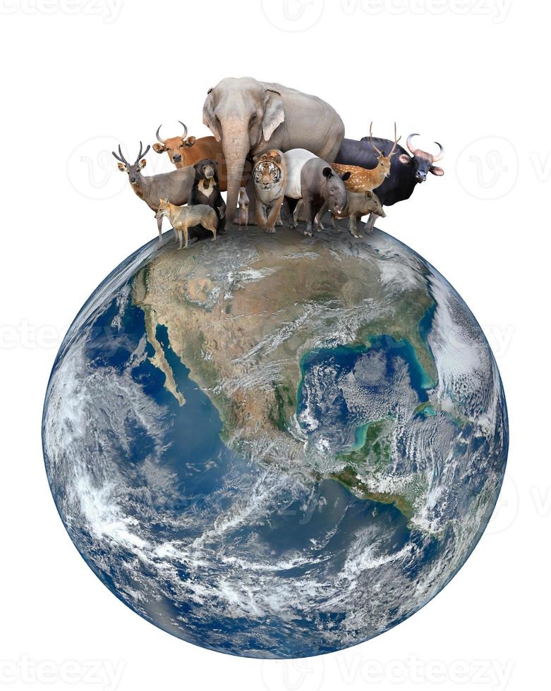 group of asia animal with planet earth photo