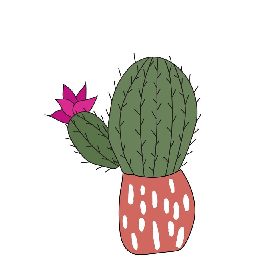 Home plant cactus in a pink pot. Cute vector doodle illustration of house plant