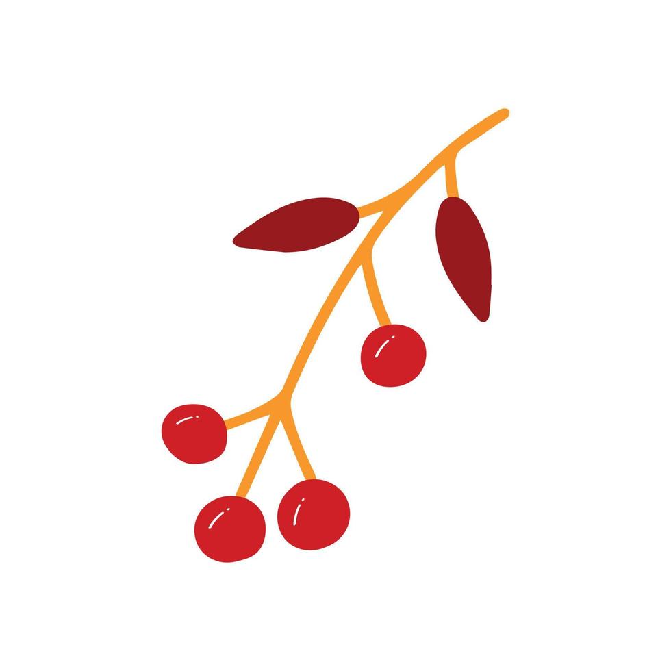Autumn branch with berries isolated on a white background. vector