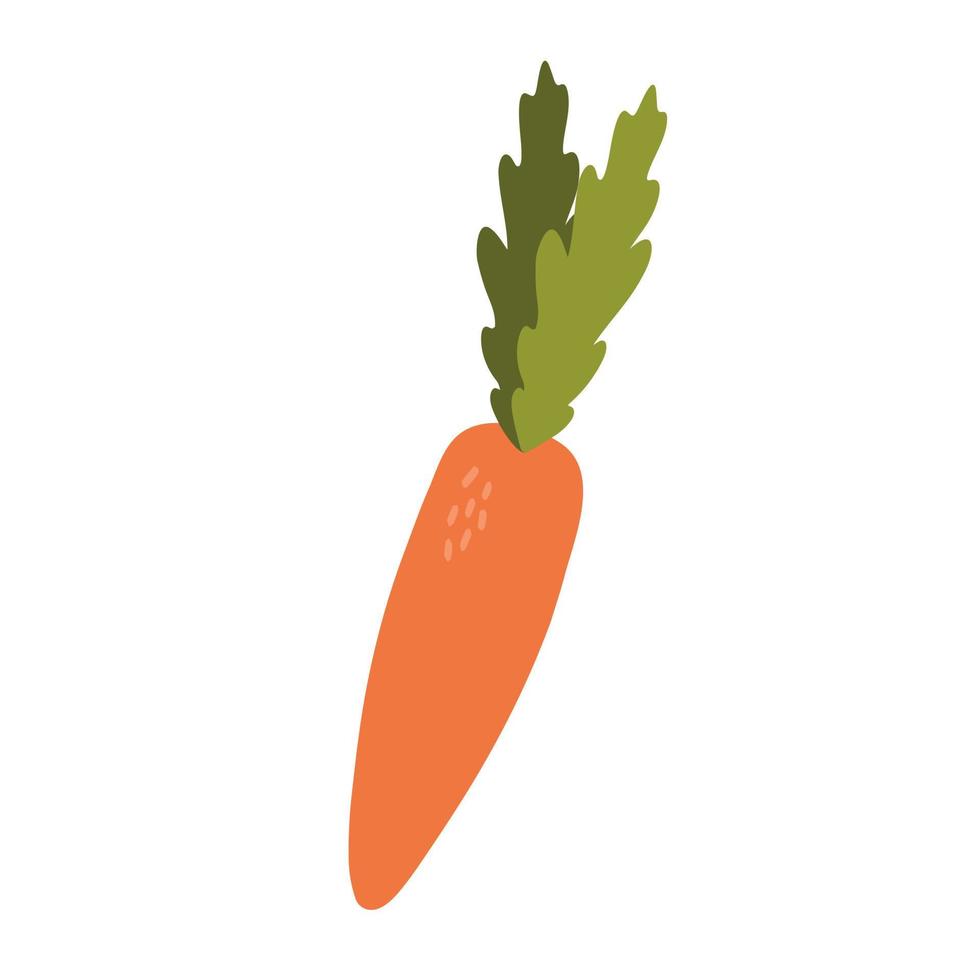 conjunto de iconos de vector de zanahoria de dibujos animados para diseño web