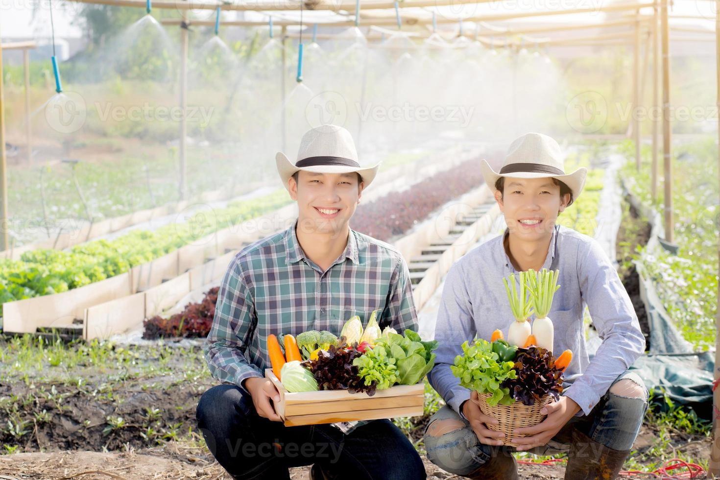 Beautiful portrait young two man harvest and picking up fresh organic vegetable garden in basket in the hydroponic farm, agriculture for healthy food and business entrepreneur concept. photo