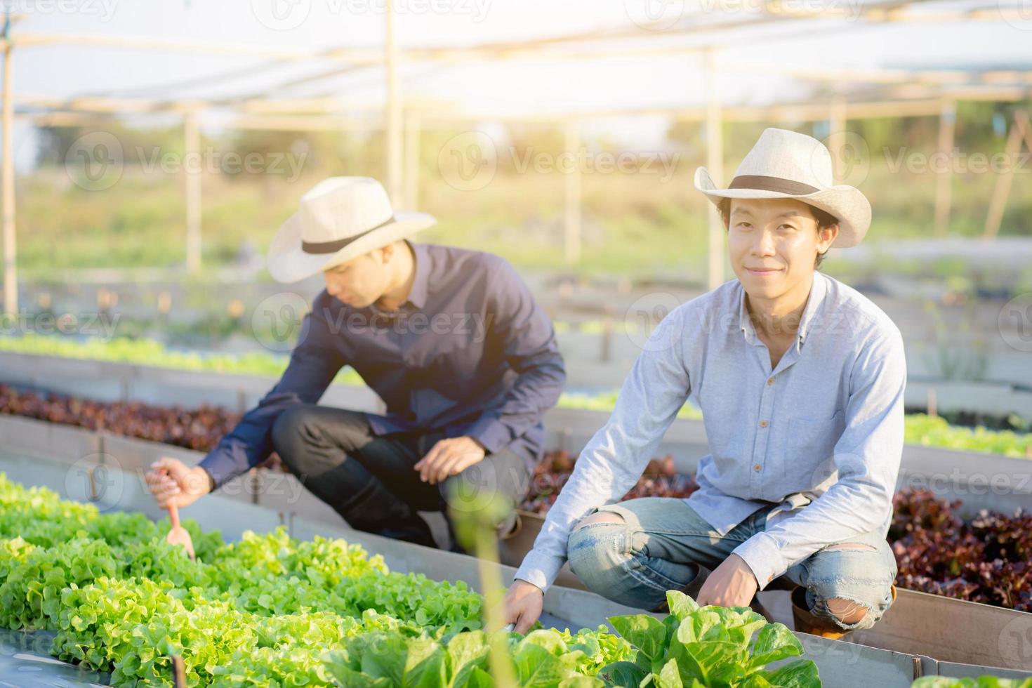 joven agricultor asiático con pala cava un huerto orgánico fresco en la granja, produce y cultiva lechuga de roble verde para la agricultura de cosecha con negocios en el campo, concepto de comida saludable. foto