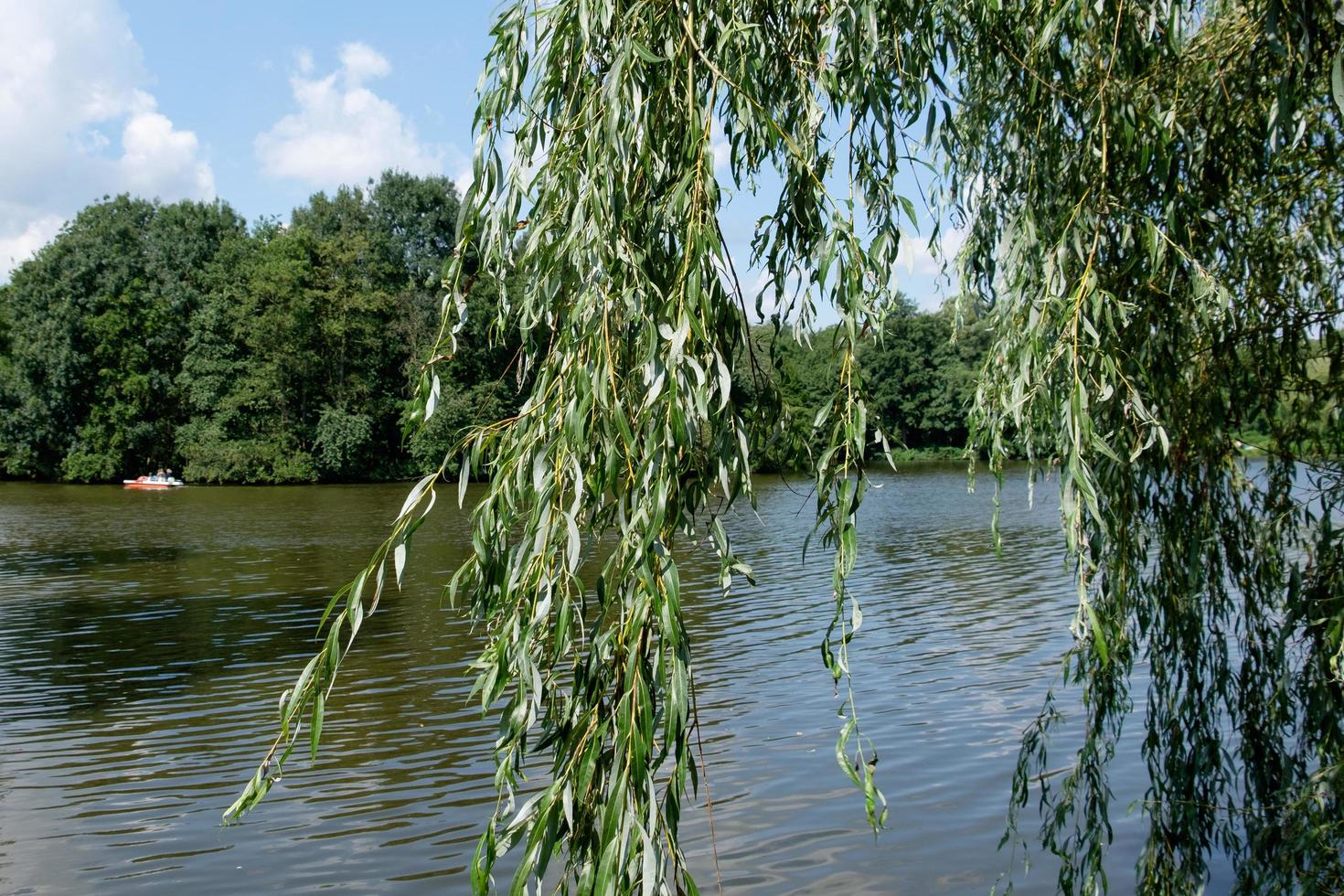 small lake in westphalia photo