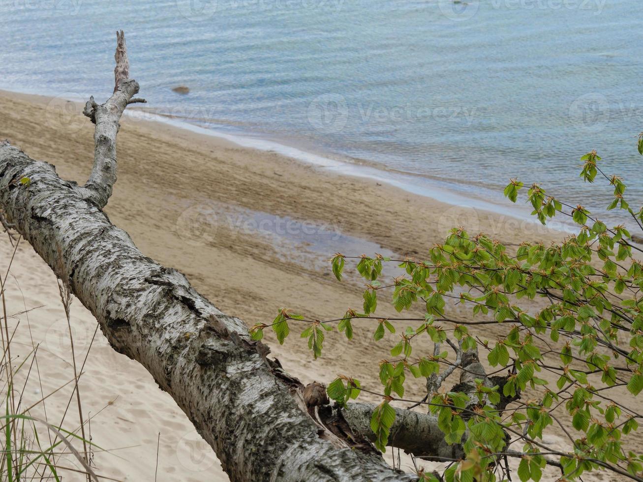 at the baltic sea in  Poland photo