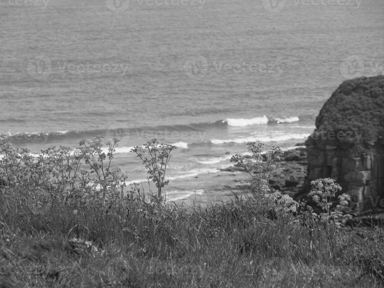 newcastle and tynemouth in england photo