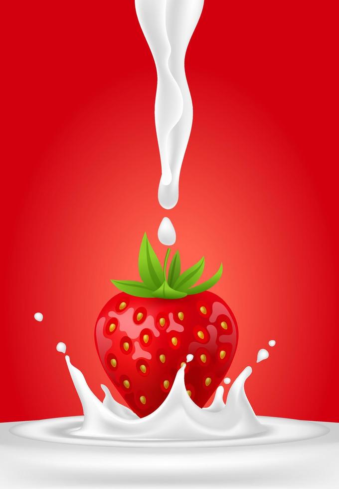 Whole strawberry. Fresh red ripe soft berry with milk liquid splash and  pour, flowing yogurt or cream splatter drops. Realistic 3D vector  illustration. Healthy food, sweet fruit. On red background 10058197 Vector