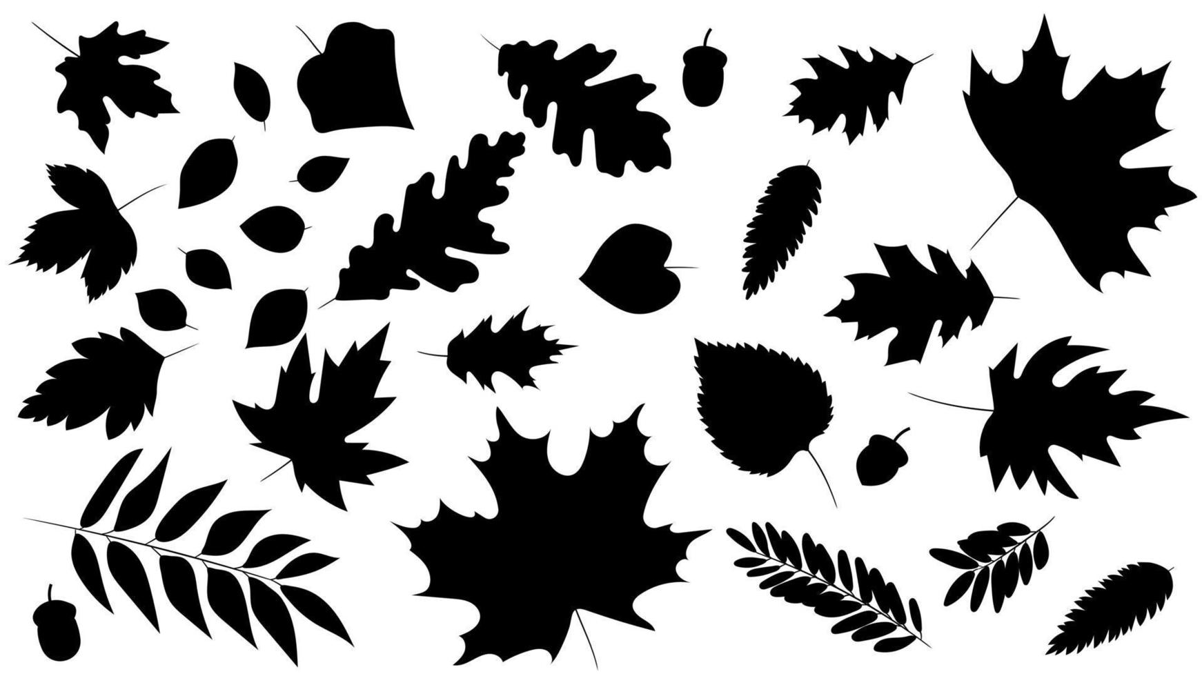 gran conjunto de hojas de diferentes tipos de árboles aislados. conjunto de roble de hoja de otoño negro, arce, serbal y bellotas. estilo de silueta realista. ilustración vectorial conjunto de follaje. vector