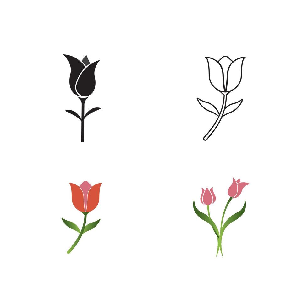Tulip icon vector