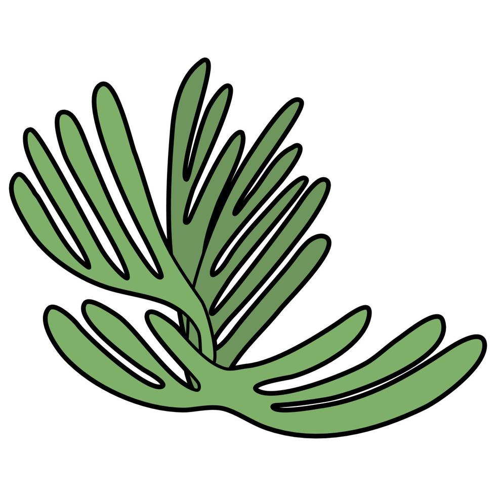 Under Sea Plants vector