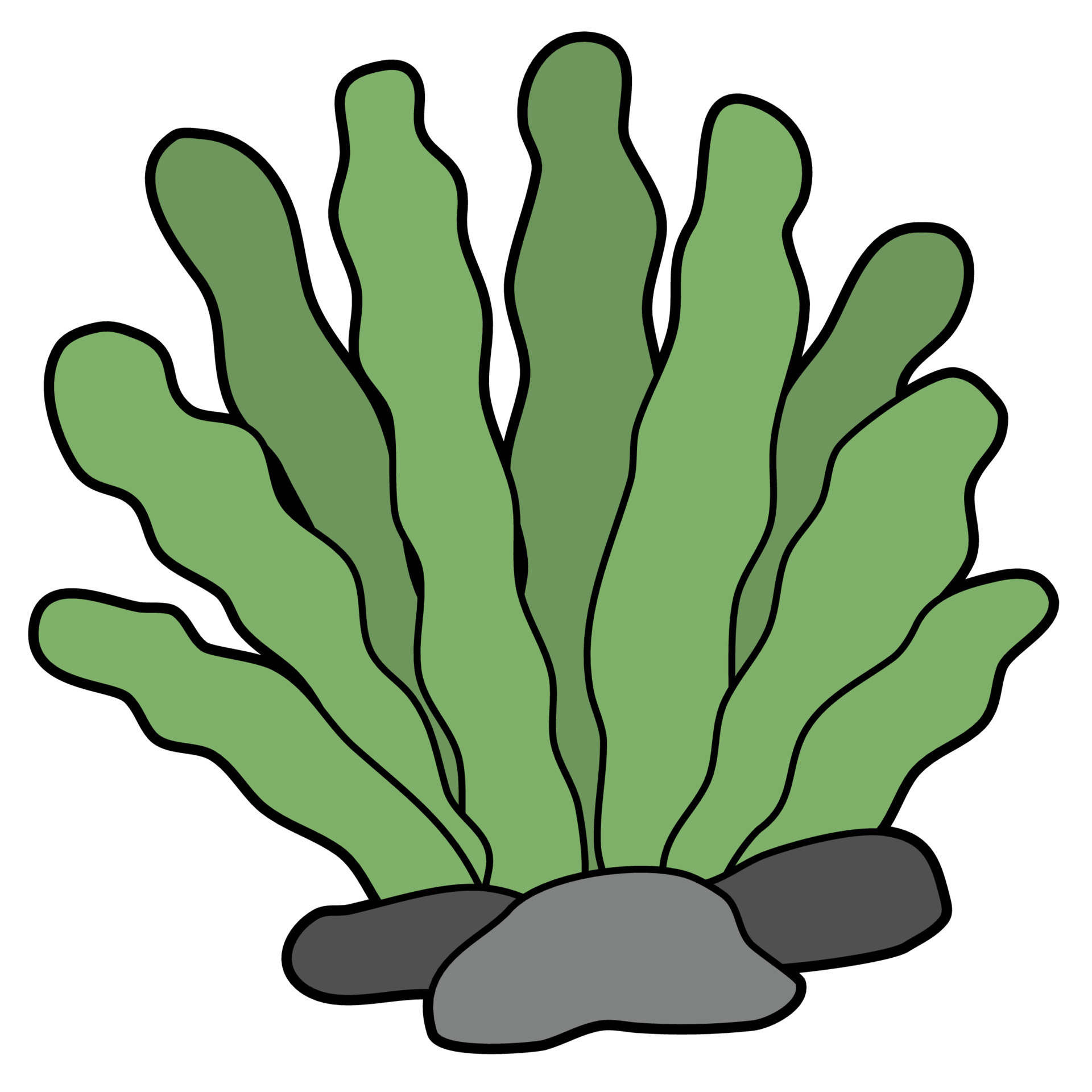 Under Sea Plants 10060240 Vector Art at Vecteezy
