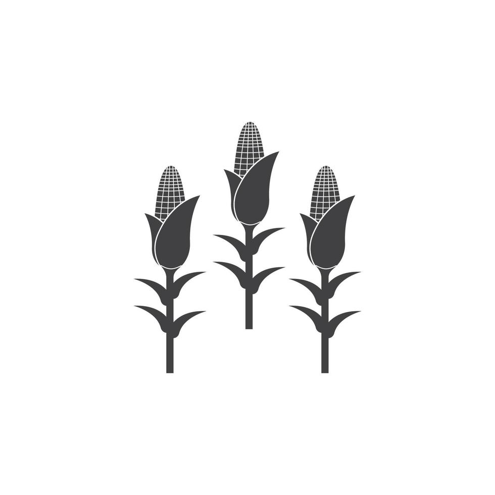 icono de maíz. diseño de plantilla de ilustración vectorial vector