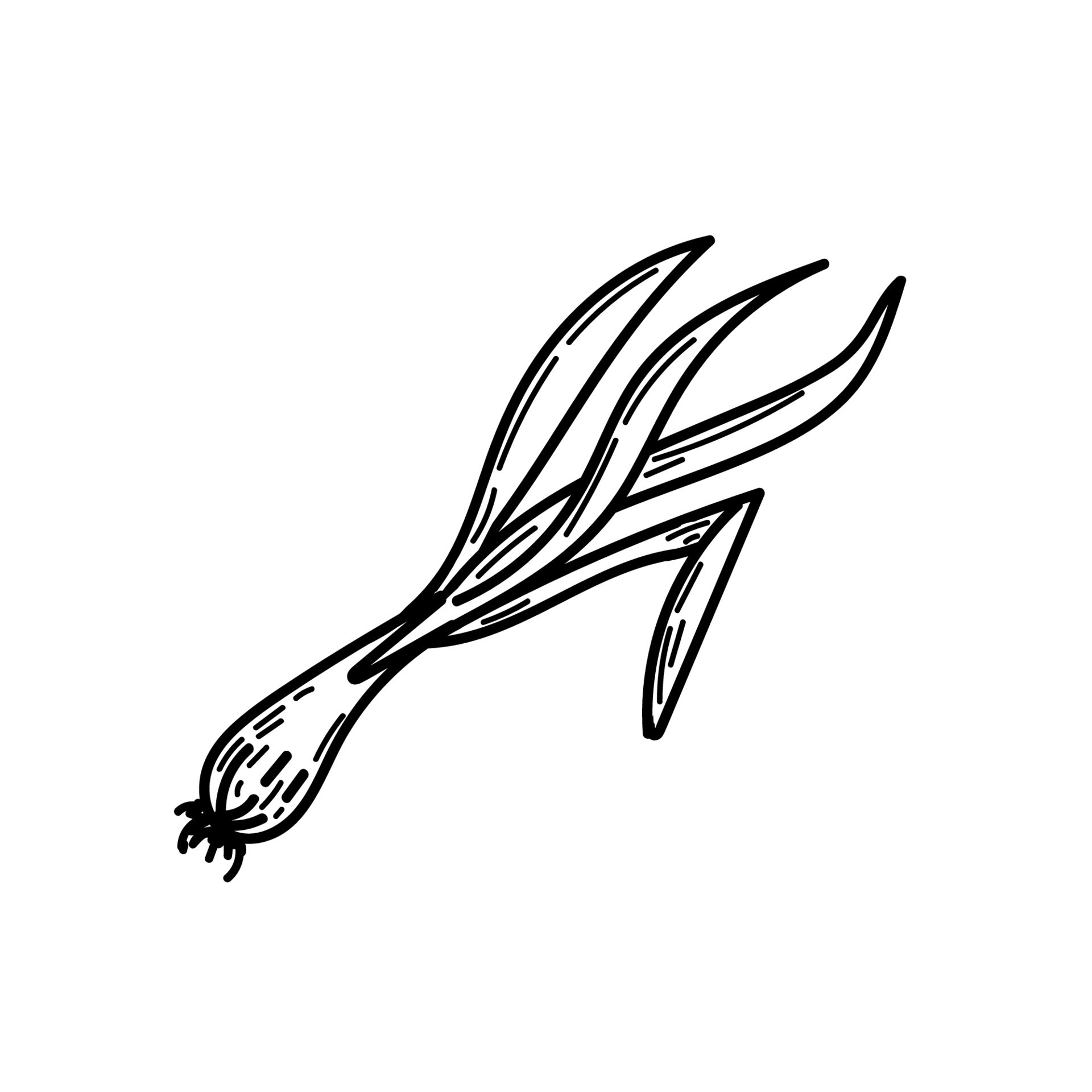 Handdrawn green spring onion in doodle style. Vector chives with