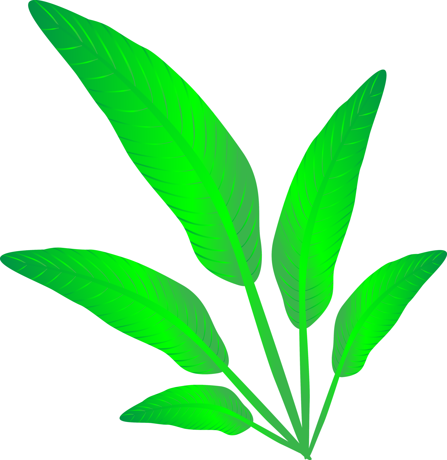 Free Nature flower leaf tropical art graphic design icon element decoration abstract background wallpaper png 10063556 PNG with Transparent Background Free Nature flower leaf tropical art graphic design icon element decoration abstract background wallpaper png 10063556 PNG with Transparent Background