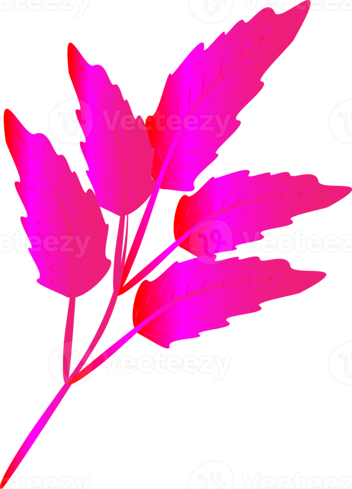 schöne rosa bunte natürliche Blätter Kunst Grafikdesign Farbverlauf Symbol Element abstrakter Hintergrund png