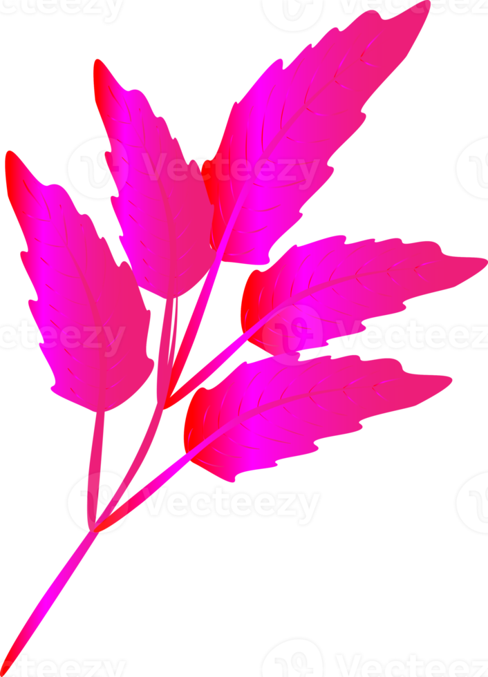 vackra rosa färgglada naturliga löv konst grafisk design gradient ikon element abstrakt bakgrund png