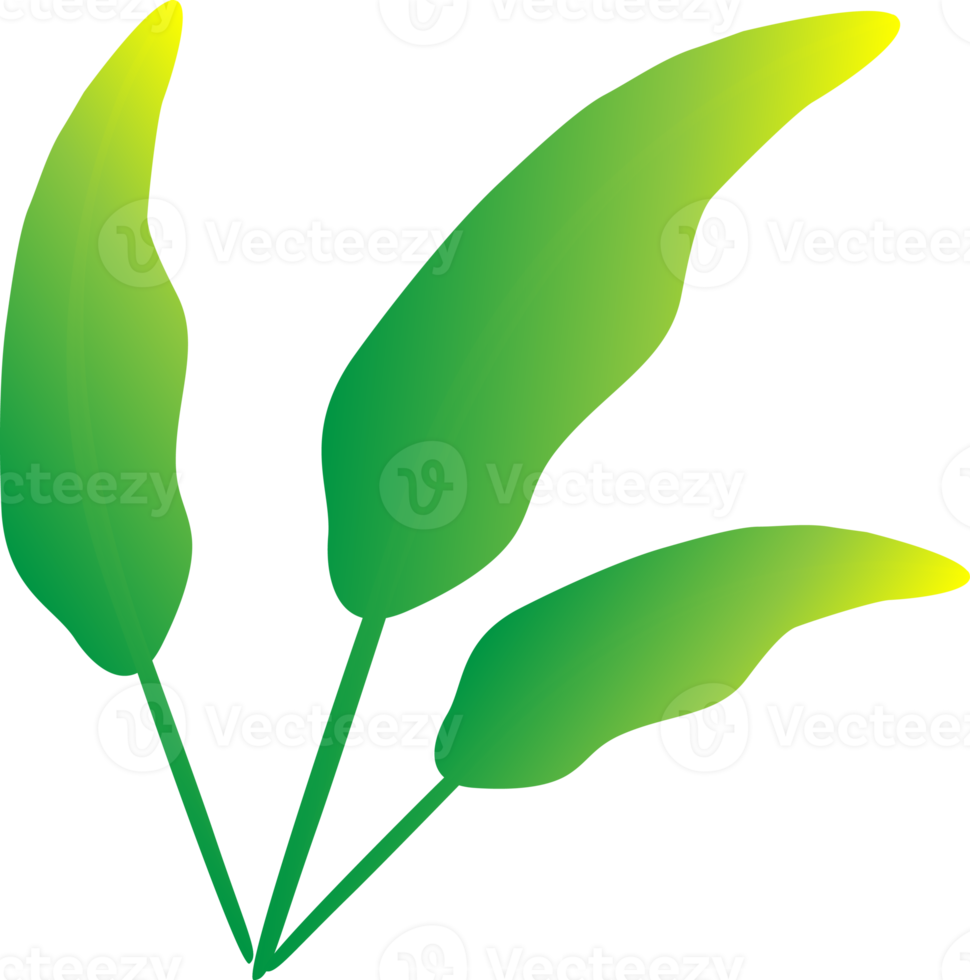 Green leaves art graphic design icon element decoration abstract background png