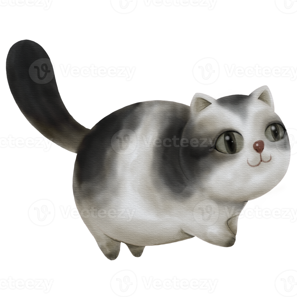 Chubby Cat with Black and White Stripes Walking in Watercolor png