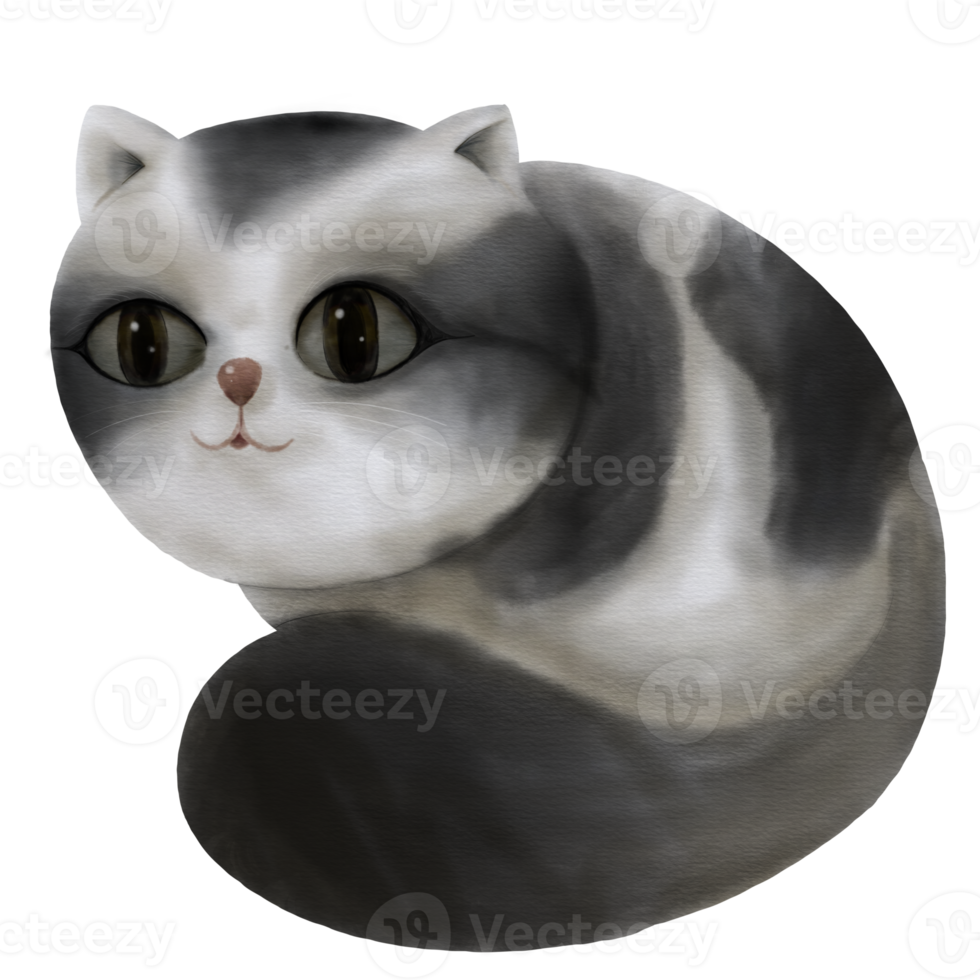 em aquarela, um gato gordinho com listras pretas e brancas está curvado png