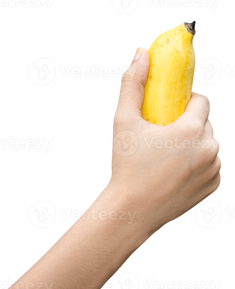 Person holding a banana in the hand png