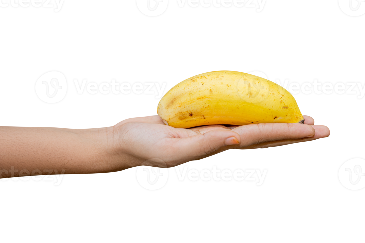 mano femenina sosteniendo constantemente un plátano aislado en blanco, png