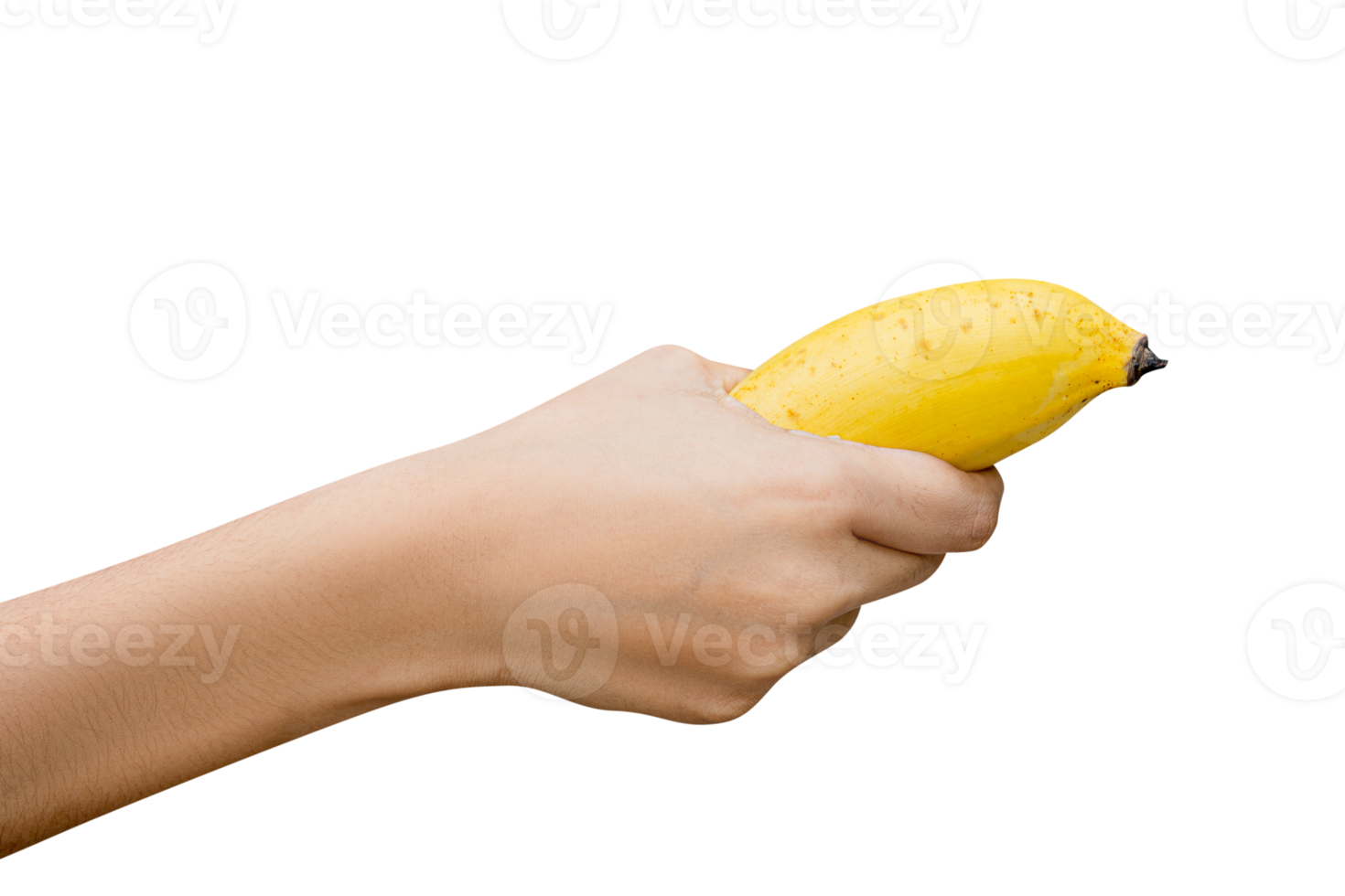 female hand holding steadily a banana isolated on white, png