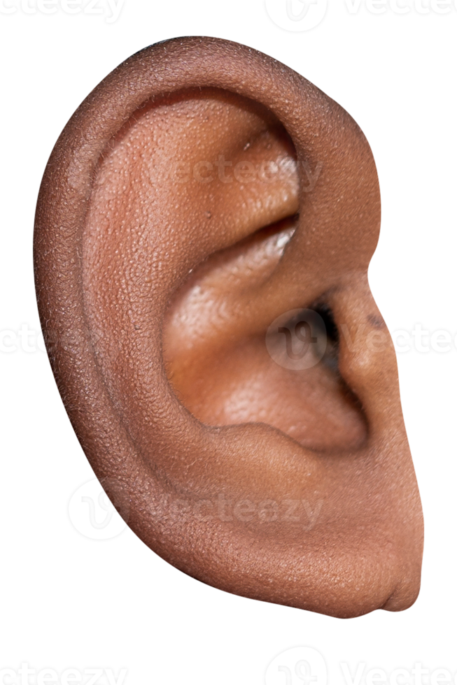 human face ear detail close-up macro shot png