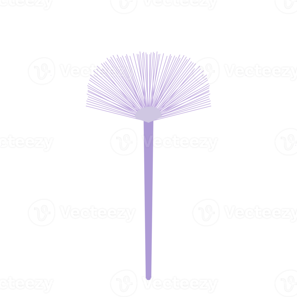 Imágenes Prediseñadas de cepillo de abanico cosmético png