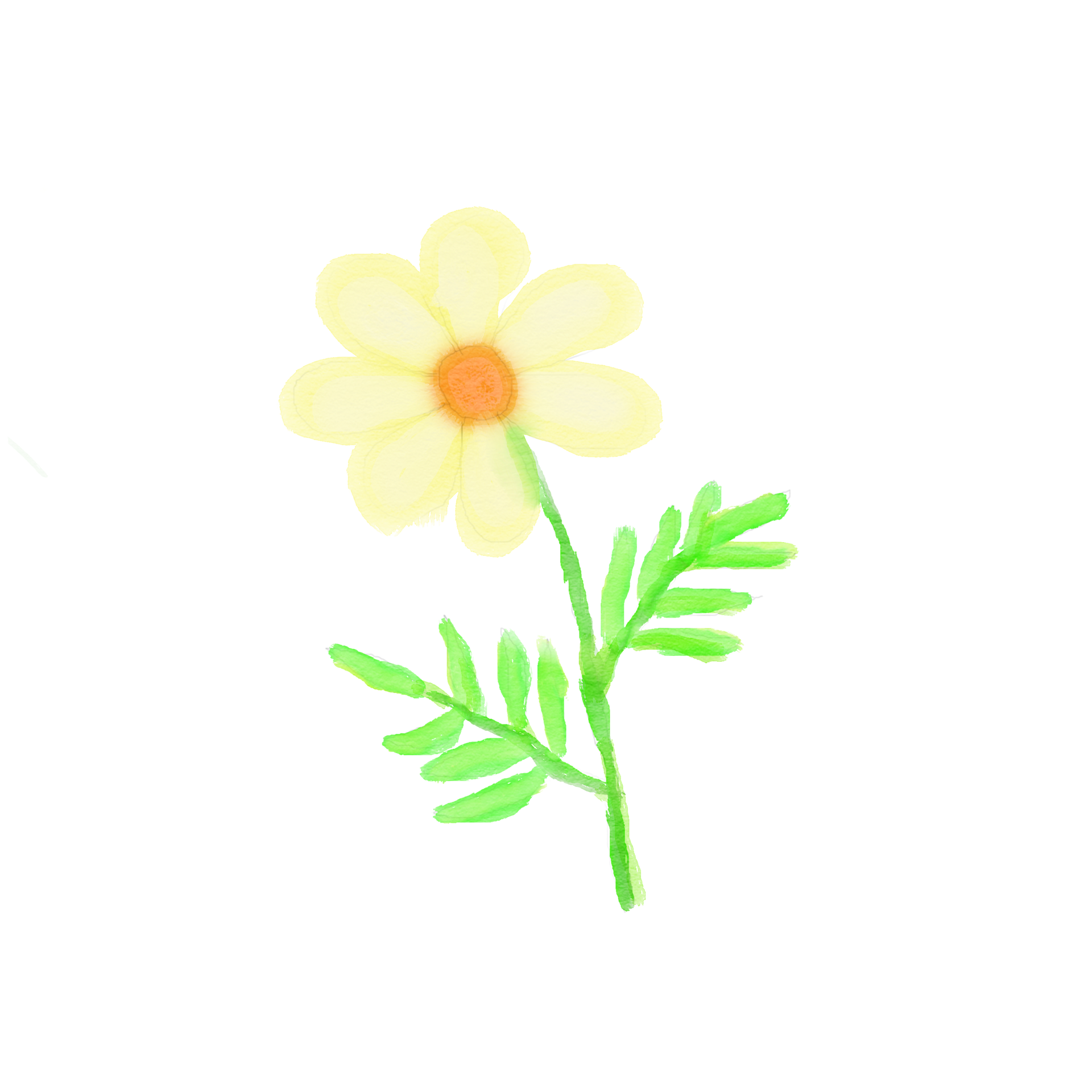 Watercolor simple flower with yellow petals and green leaves. 10064131 PNG