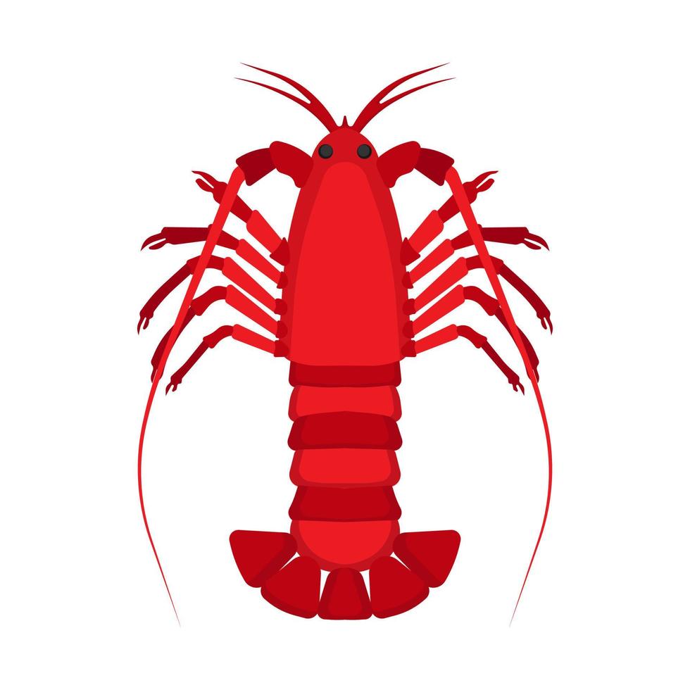 Lobster animal top view vector flat icon. Seafood sea isolated red illustration. Food restaurant cartoon crab mascot exotic