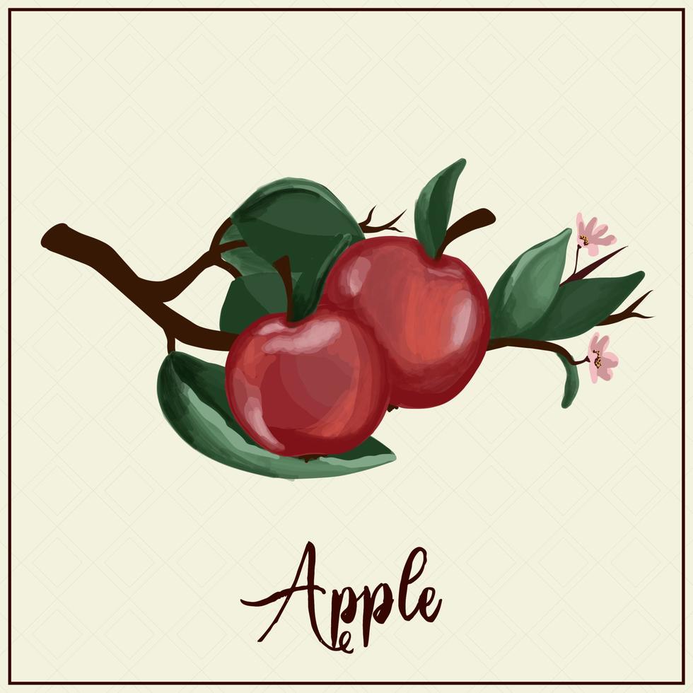 tarjeta de frutas manzanas manzanas rojas dibujadas. ilustración vectorial granja jardinería frutas exóticas vector