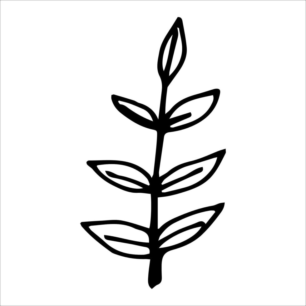 Vector single element rowan leaf black silhouette