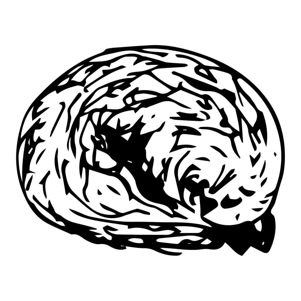 A sleeping cat curled up in a ball. vector