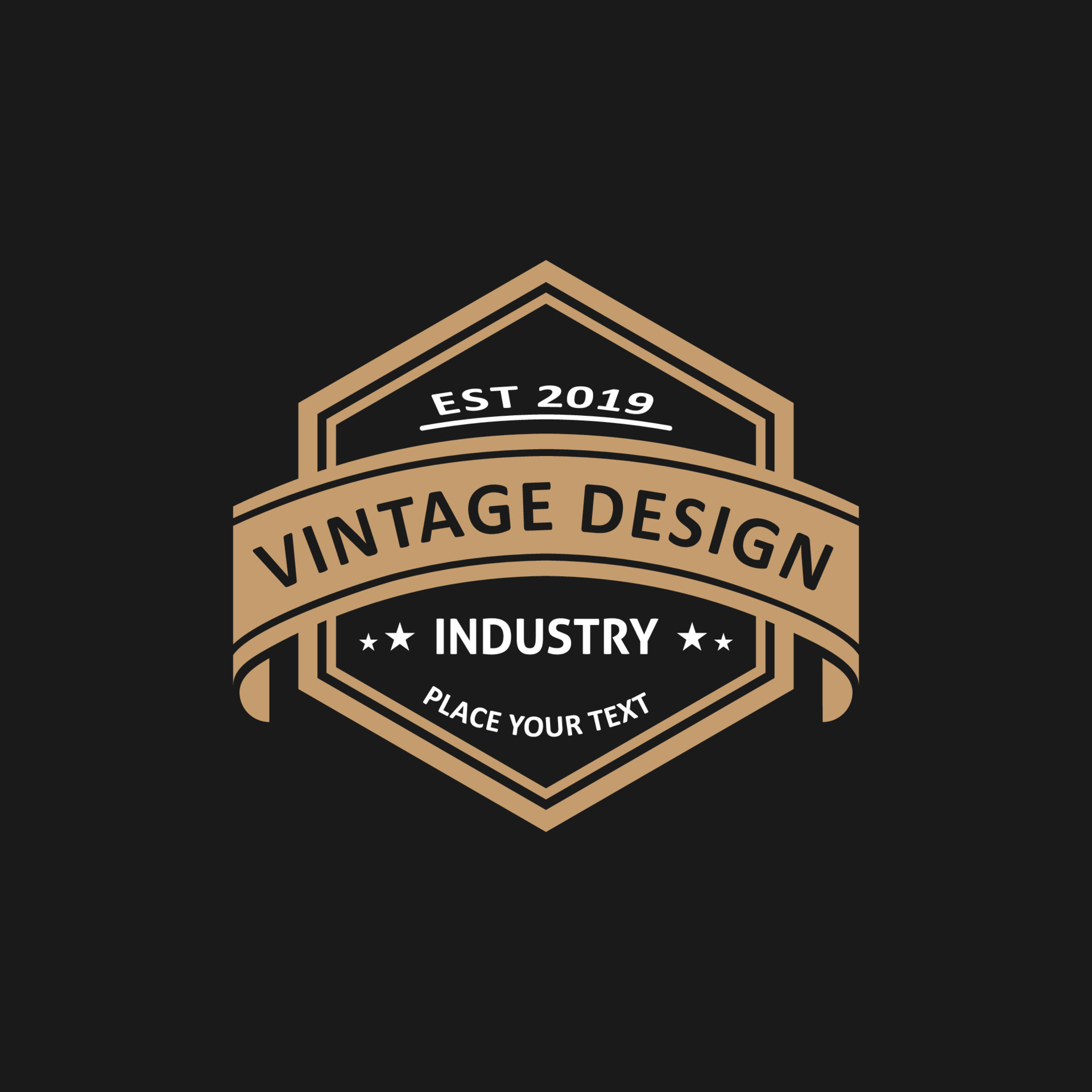 Hexagonal retro vintage logo design 10066091 Vector Art at Vecteezy