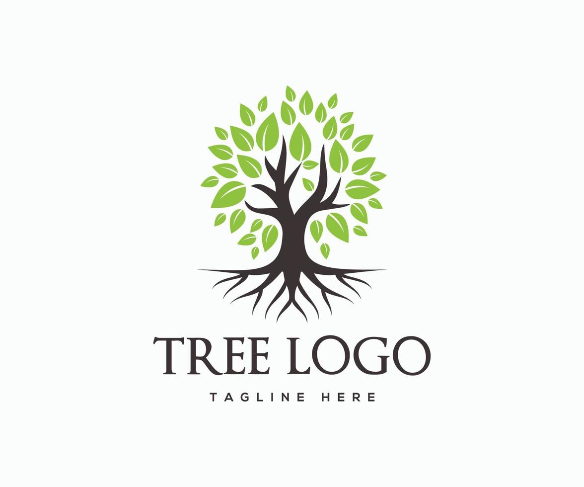 Tree Logo Design Vector Template